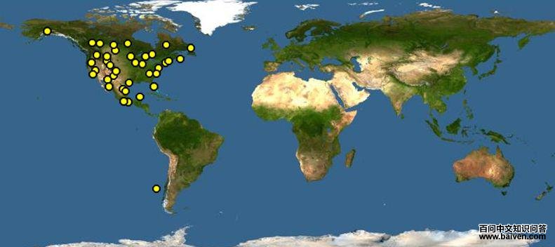 ����ȸ�c��