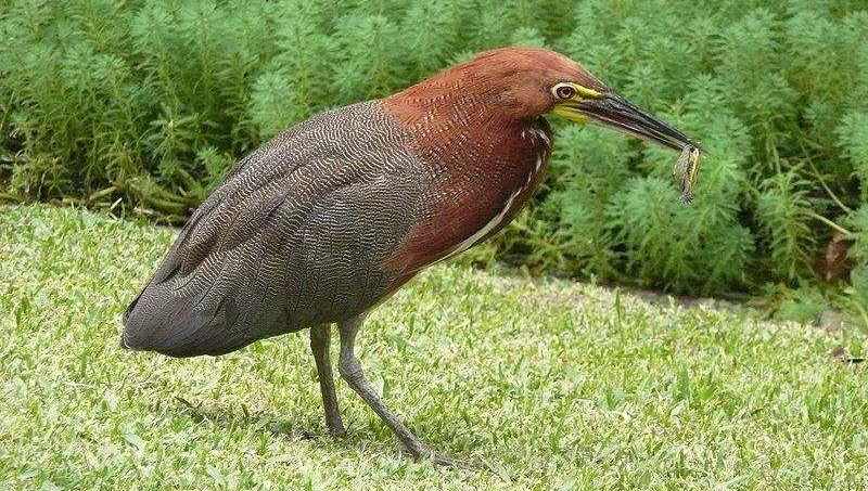 �����ص�ͼƬ