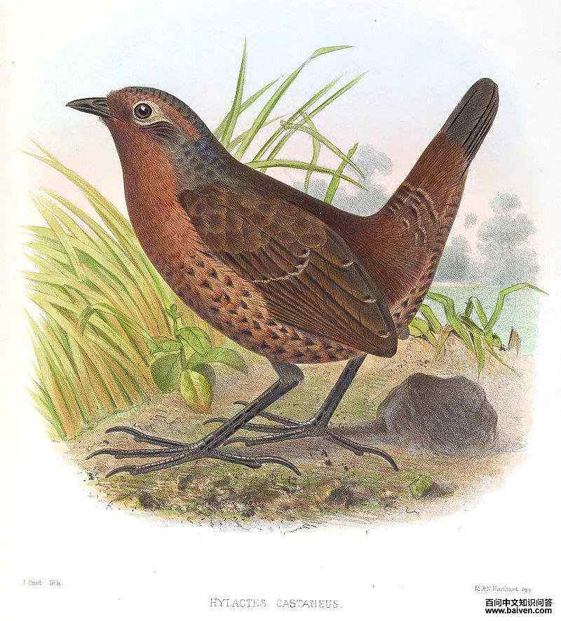 �����������ͼƬ