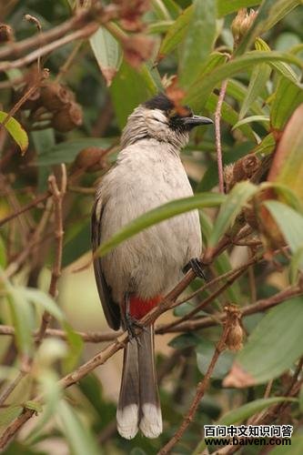 �׺������ǵ�ͼƬ