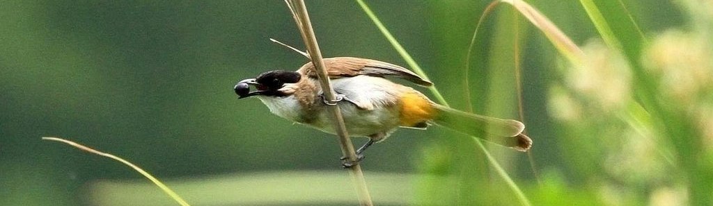 �����ǣ��󾱺�ɫ���ز�ƫ�֣�����hzhza