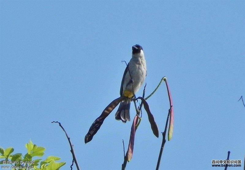 �׺��������ǳ���