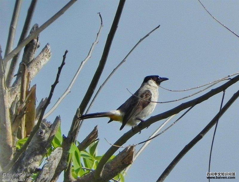 �׺��������ǳ���