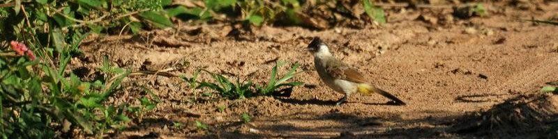 �׺��������ǳ���