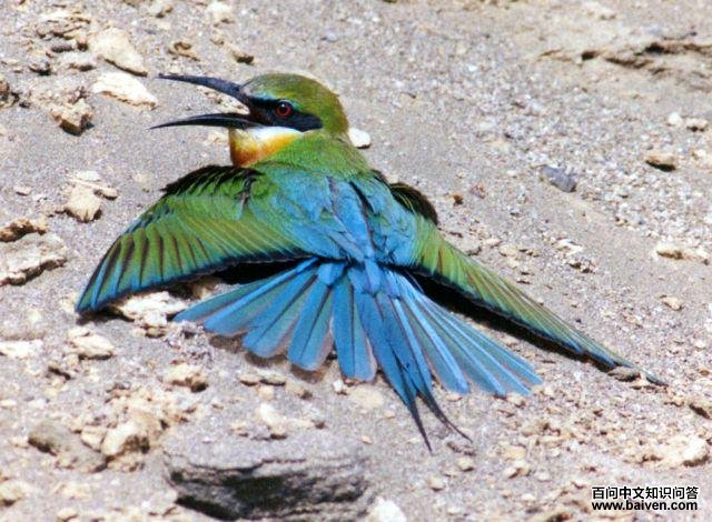 �����仢��ɹ�չ�ԡ