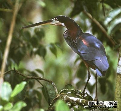 �����ص�ͼƬ