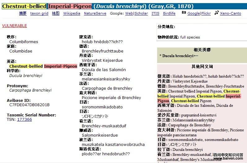 ��������ͼƬ