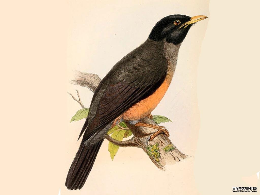 ����𴣺��̬����ͼ