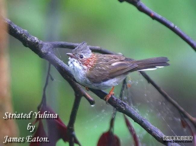 �������̵�ͼƬ