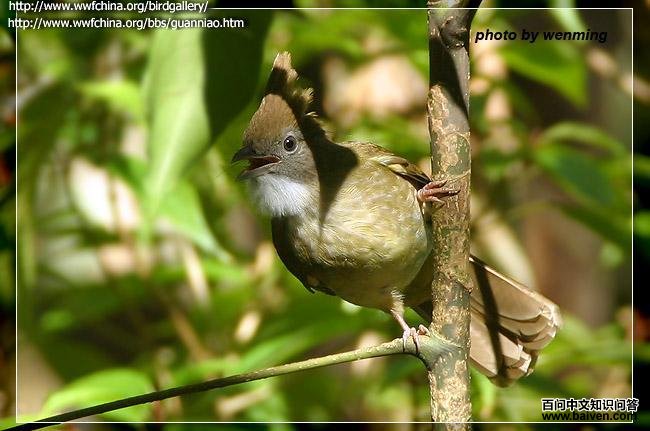 �׺�����
