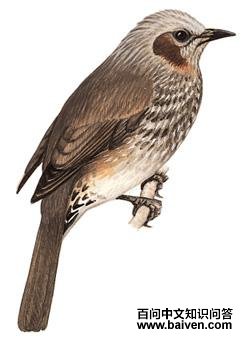 �����̽���