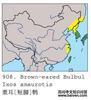 �����̽���