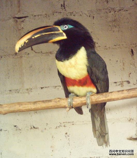 ��������������ͼƬ