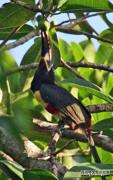 �������������