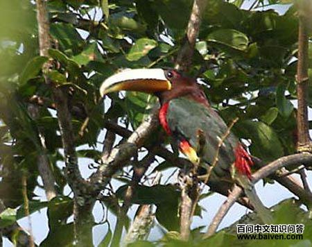 �������������