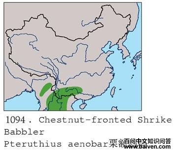 �����V��