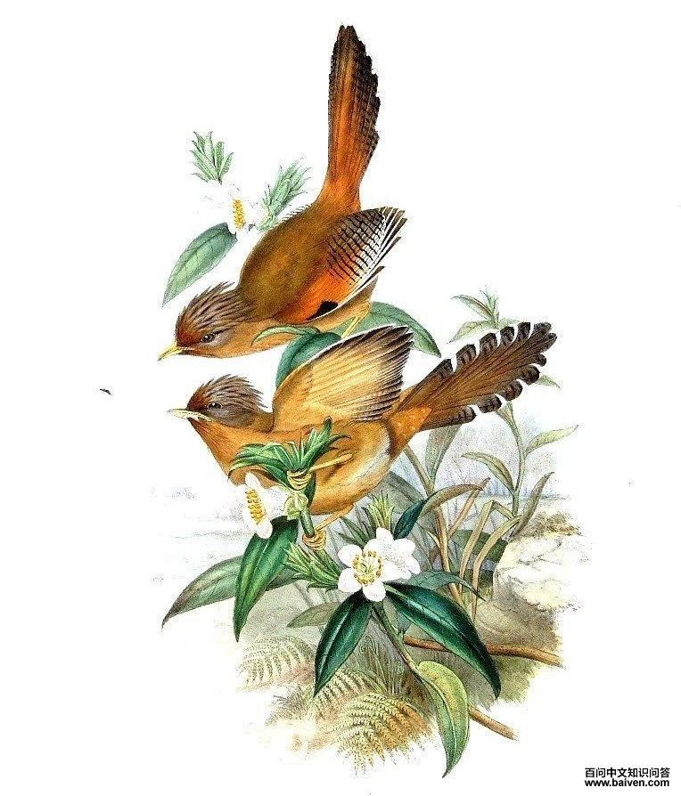 ����߳��̣���̬����ͼ