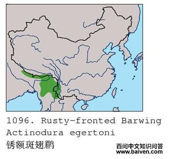 ����߳���