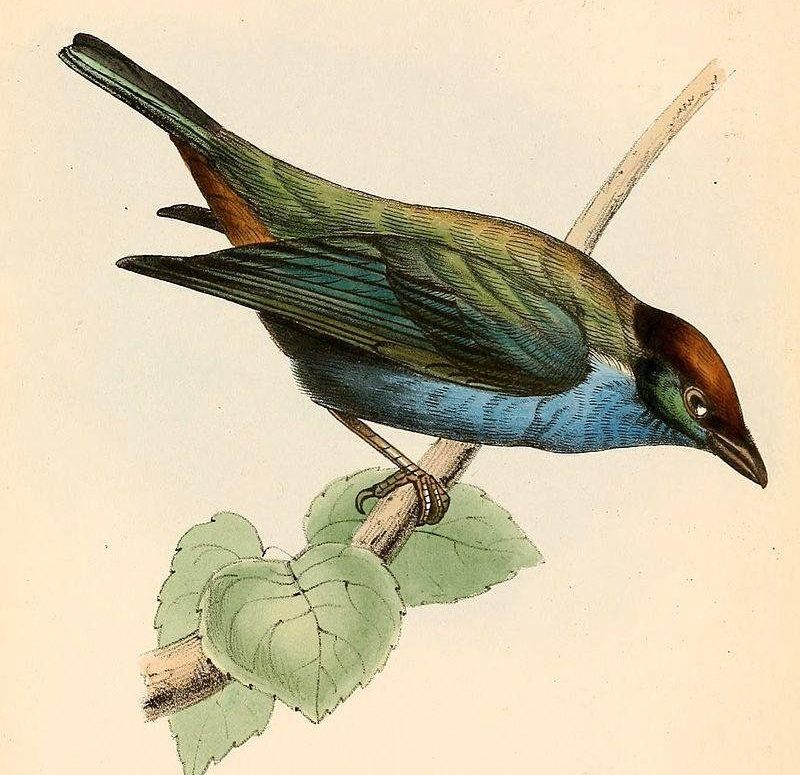 �����Ƽ���ȸ��ͼƬ