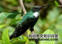 �׺������ͼƬ