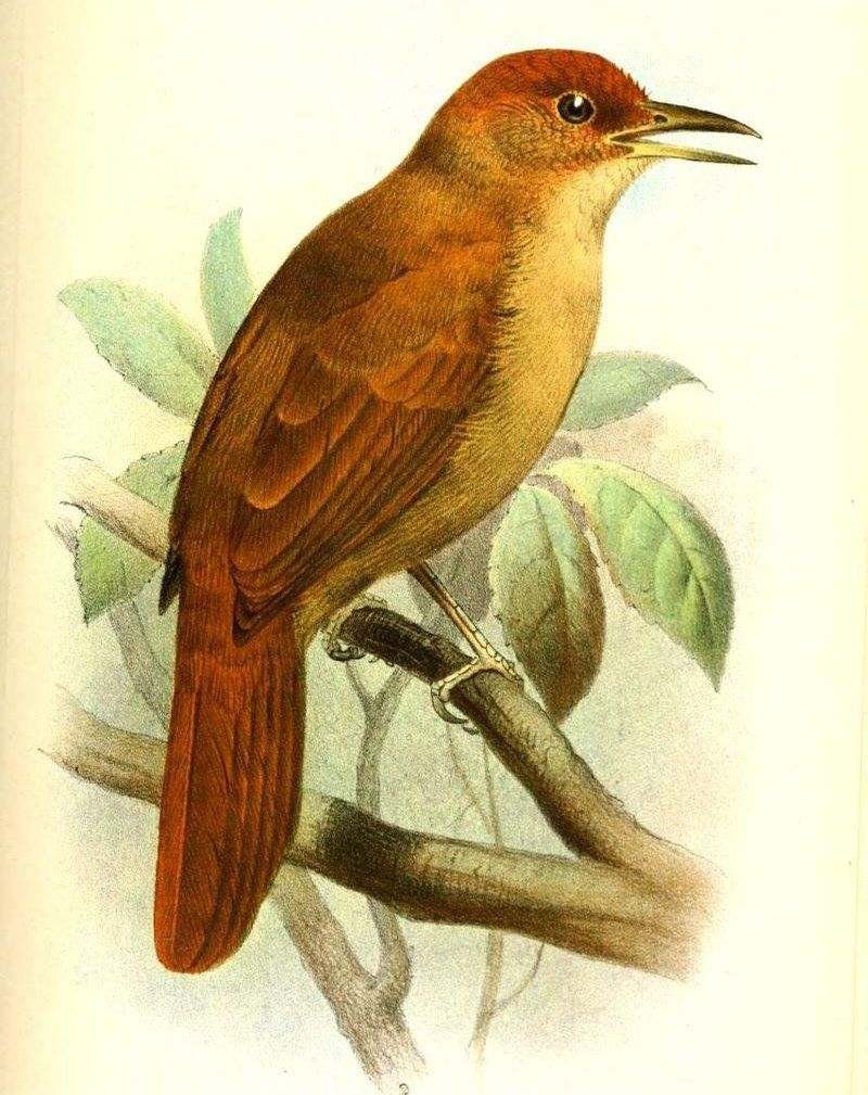 ����ʰҶȸ��ͼƬ