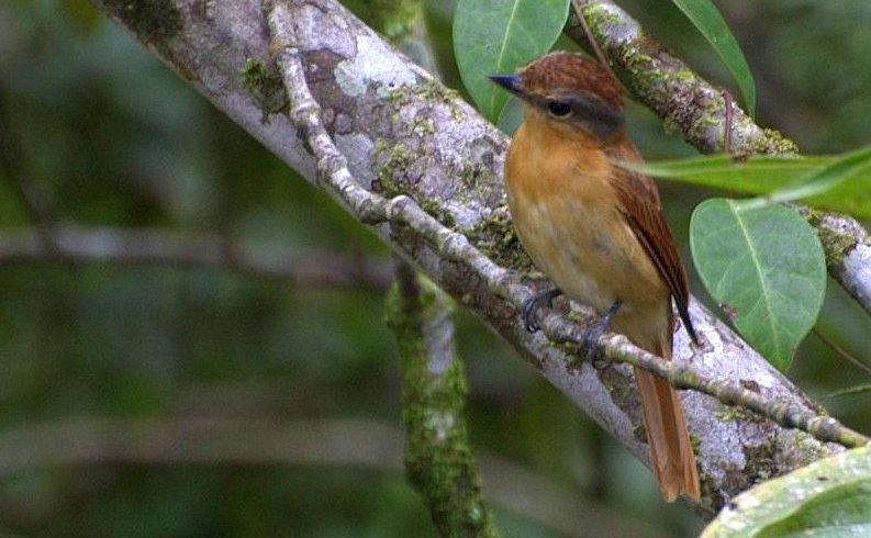 ����������l��ͼƬ