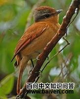 ����������l