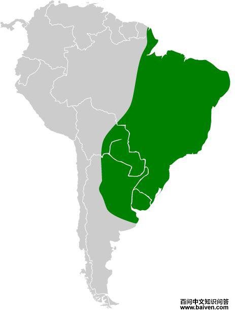 ������𿣺�����ֲ�ͼ