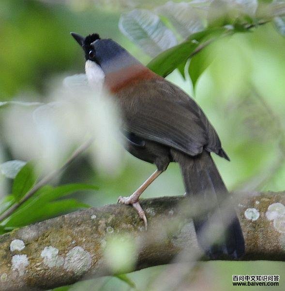 �������̵�ͼƬ