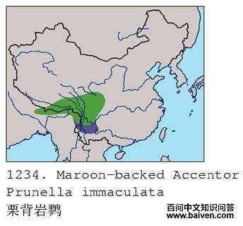 �������ҵ����ֲ�ͼ