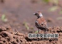 ����ȸ����