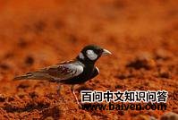 ����ȸ����