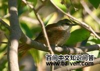 ������ȸ��ͼƬ