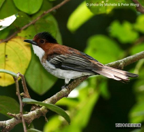 �����̽��ǵ�ͼƬ