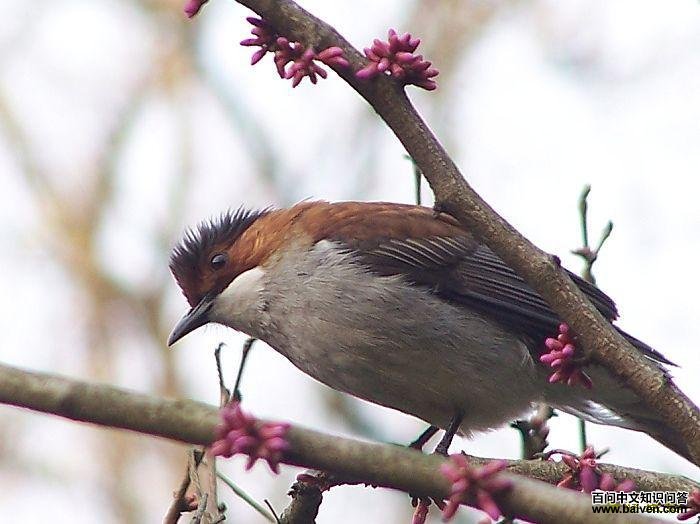 �����̽���