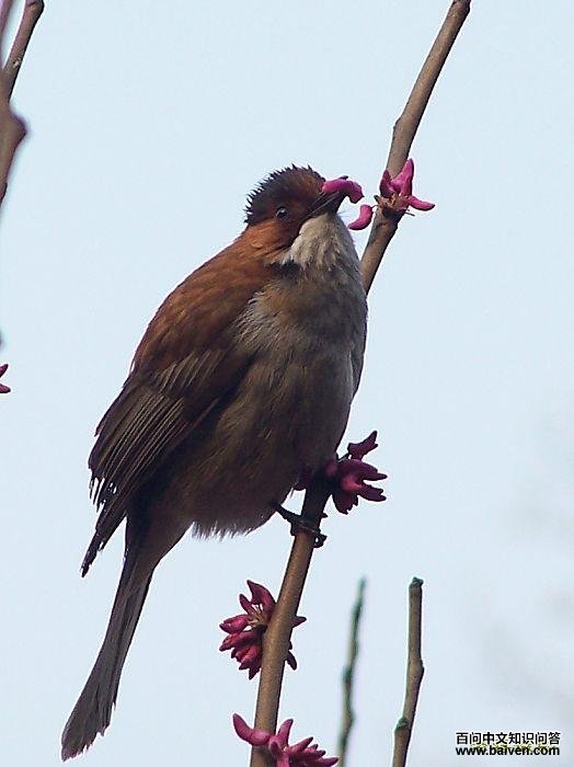 �����̽���