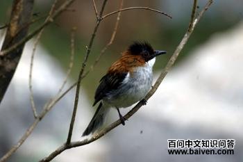 �����̽���