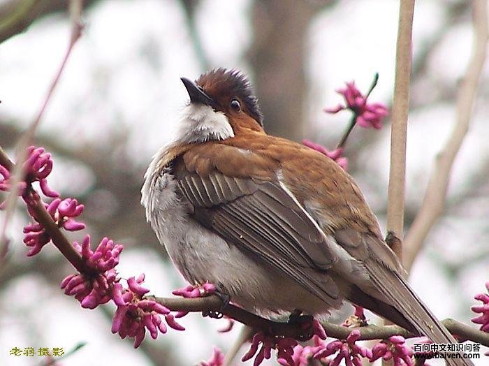 �����̽���