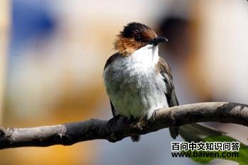 �����̽���