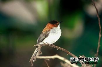 �����̽���