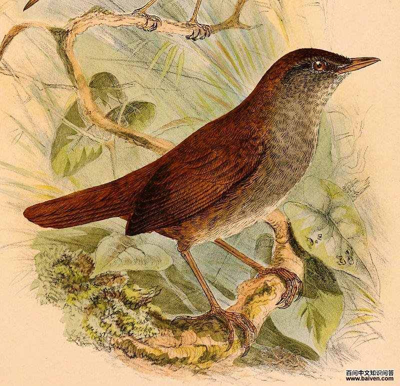 �����̳�ݺ��ͼƬ