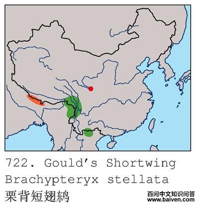 �����̳��