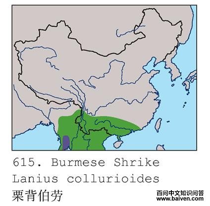 �������ͣ������ֲ�ͼ