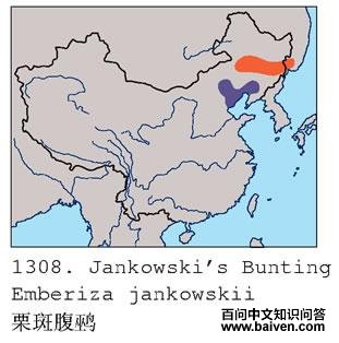 ���߸��c�������ֲ�ͼ