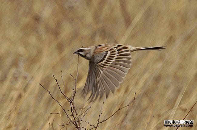 ���߸��c�����ڼ��֣�