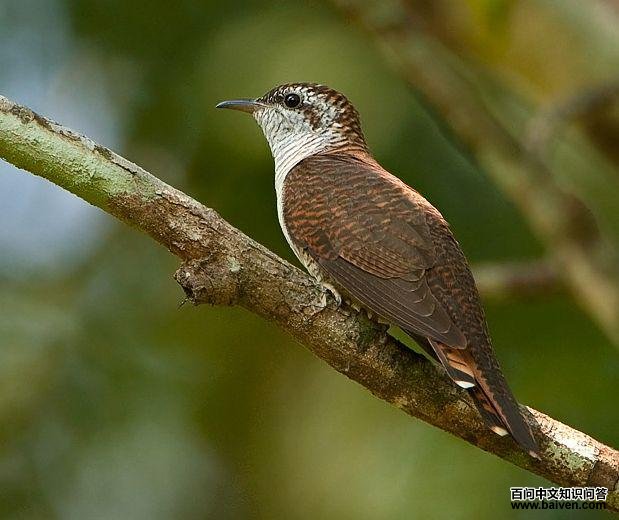 ���߶ž飺����