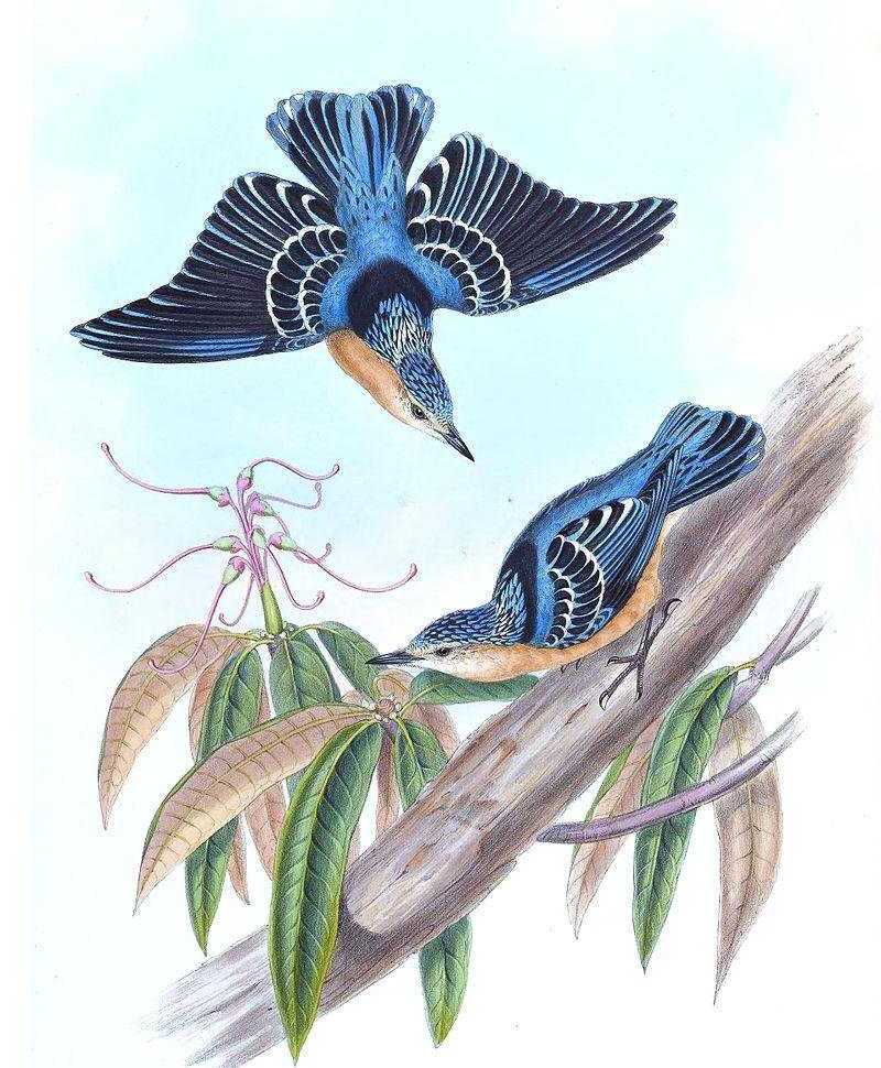 ���[��ͼƬ