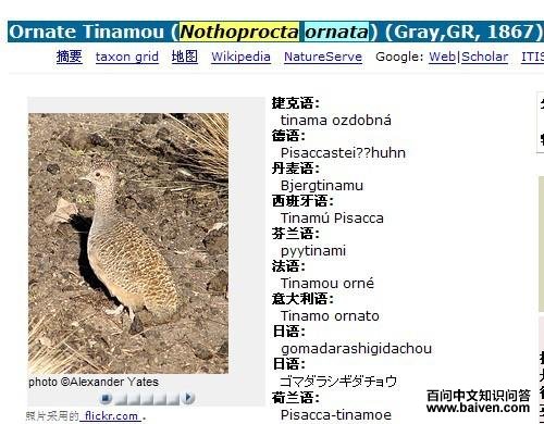 ��ɫ��[����]