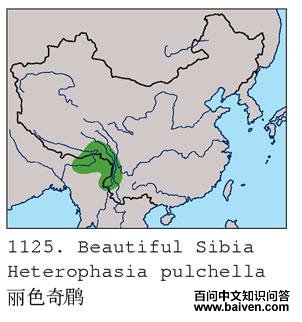 ��ɫ����