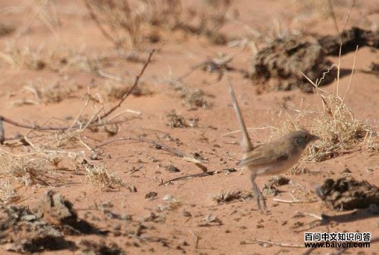 ��������ݺ��ͼƬ